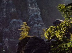  sächsische Schweiz