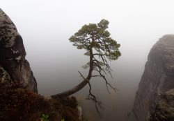 sächsische Schweiz