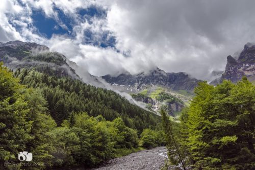 Landschaft